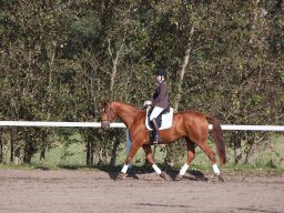 IMG_7763_web